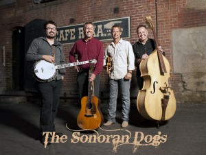 TheSonoranDogs